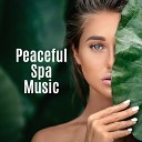 Spa Relaxation and Dreams Pure Spa Massage Music Sauna Massage… - One Day in Spa