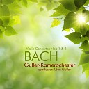 L on Guller Guller Kammerorchester Arthur… - Violin Concerto No 1 in A Minor BWV 1041 II…