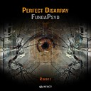 Perfect Disarray FungaPsyd - Robots Original Mix