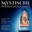 Clemens Ganz Vokalquartett Bonn Brahms - Maria durch ein Dornwald ging