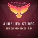 Aurelien Stireg - The Beginning Original Mix