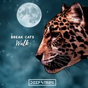 Break Cats - Walk Original Mix