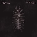 Cactus Andante - Entre la Tierra y el Sue o