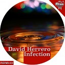 David Herrero - Infection Original Mix