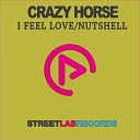 Crazy Horse feat Ajn - I Feel Love Dub Mix