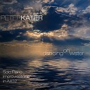 Peter Kater - Vastitude