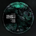 Volume A Section 8 - Psychosis Original Mix