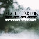 Black Acorn - 129 Souls In A Sunny Pool Original Mix