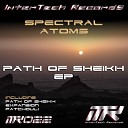 Spectral Atoms Suvorov - Patchouli Original Mix