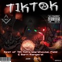 Tik Tok - Btribal Radio Ireland Djproduction Mix