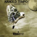 Arnold Tempo - The Storm Original Mix