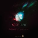 Acme Junk - Tender Affection Original Mix
