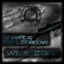 Bart Shadow Sheefit - False Truth Original Mix