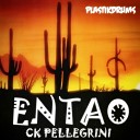 Ck Pellegrini - Entao Original Mix