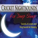 John Story - Night Cricket Sounds for Deep Sleep