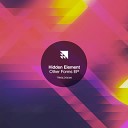 Hidden Element - Faster But Slower Original Mix