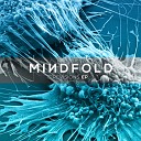 Mindfold - Antiamphetamin Sonic Species Remix