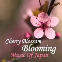 Sakura Sakura The Cherry Blossoms - traditional Japanese instrument Koto