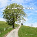 J Roomy White Noise - Park ASMR Nature Sound