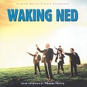 Waking Ned Devine - The Tullymore Polka The Witch The Fiddle And The Phonebox…