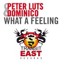 Peter Luts feat Dominico - What a Feeling Jason Nevins Electrorock Remix