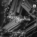 Tiigers - Quantum Original Mix