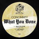 concinnity - I Just Want It Original Mix