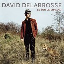 David Delabrosse - Un monde naissant