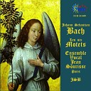 Ensemble Vocal Jean Sourisse Jean Sourisse - Jesu meine Freude BWV 227 No 3 Choral Unter deinem…