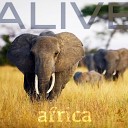 Alive - Africa Original Mix