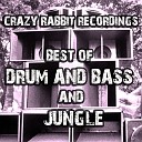 DJ Purple Rabbit - Elephant Dub Jungle Mix