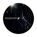 Dachshund - Back To The Rhythm Original Mix