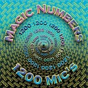 1200 Micrograms - The Magic Numbers Theme