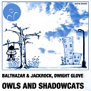 Balthazar Jackrock Dwight Glove - Owls And Shadowcats Mark Hartigan Remix