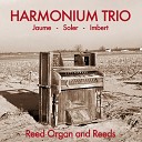 Harmonium Trio - Blame It on My Youth