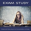 Exam Study Classical Music Orchestra - Studying Music