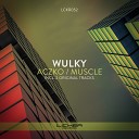 Wulky - Aczko Original Mix