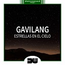 GavilanG - Estrellas En El Cielo Original Mix