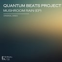 Quantum Beats Project - When You Baby Again Original Mix