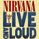 Nirvana - Endless Nameless Live Loud