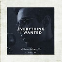 Shaun Reynolds - everything i wanted
