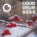 Dreazz - Liquid Drum Bass Sessions 2020 Vol 17 The Mix