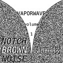 Vaporwave - Brown Noise Notched At 900 Hertz For Tinnitus…