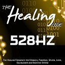 EVP - The Healing Code 528 Hz 1 Hour Healing Frequency for Stomach Pancreas Spleen Liver Galibladder and Digestive…