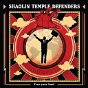 Shaolin Temple Defenders - Out in the Sun