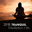Meditation Music Zone - Everything in Everyone