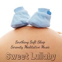Newborn Sleep Music Lullabies - Lights of the Night Instrumental Song
