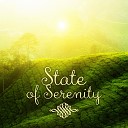 State of Serenity Universe - Piano Concerto No 20 in D Minor K 466 II Romance Harp…