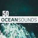 Ocean Sounds Collection - Contentment