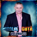 Nicolae Gu feat Blondu De La Timisoara - Bem Iar E Petrecere